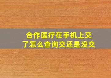 合作医疗在手机上交了怎么查询交还是没交