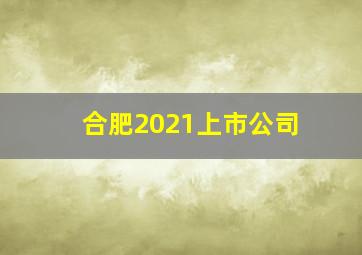 合肥2021上市公司