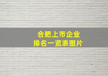 合肥上市企业排名一览表图片