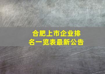 合肥上市企业排名一览表最新公告