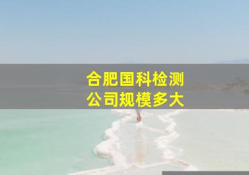 合肥国科检测公司规模多大