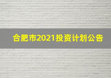 合肥市2021投资计划公告