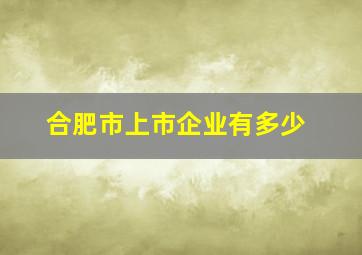 合肥市上市企业有多少