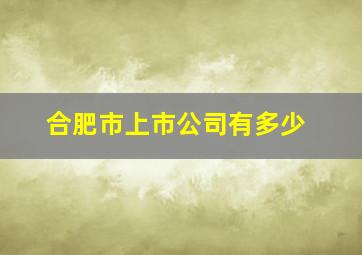 合肥市上市公司有多少