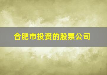 合肥市投资的股票公司