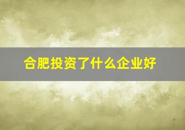 合肥投资了什么企业好