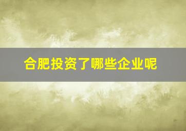 合肥投资了哪些企业呢