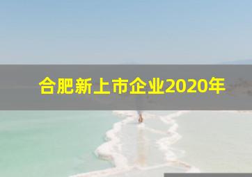 合肥新上市企业2020年