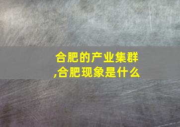 合肥的产业集群,合肥现象是什么