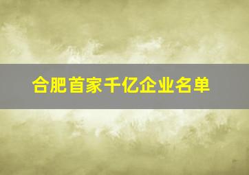 合肥首家千亿企业名单