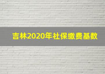 吉林2020年社保缴费基数