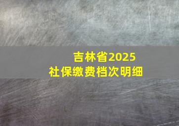 吉林省2025社保缴费档次明细