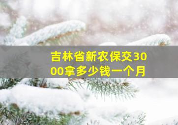 吉林省新农保交3000拿多少钱一个月