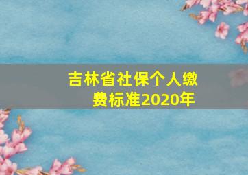 吉林省社保个人缴费标准2020年