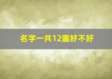 名字一共12画好不好