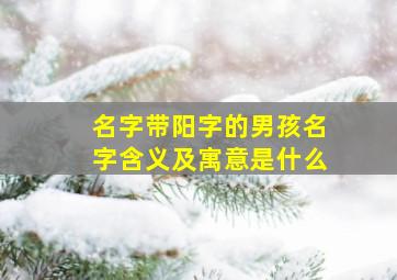 名字带阳字的男孩名字含义及寓意是什么