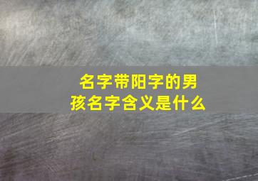 名字带阳字的男孩名字含义是什么