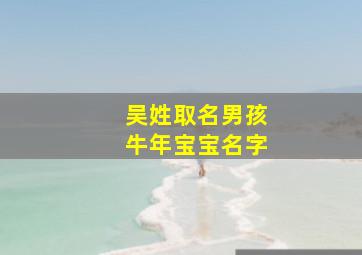 吴姓取名男孩牛年宝宝名字