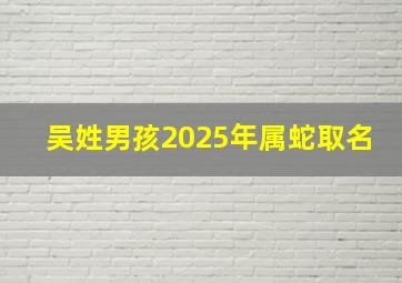 吴姓男孩2025年属蛇取名