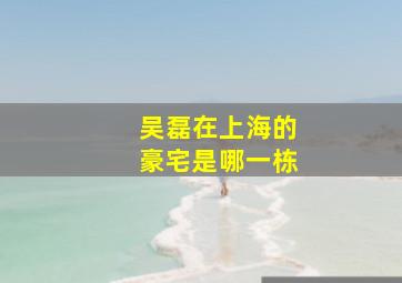 吴磊在上海的豪宅是哪一栋