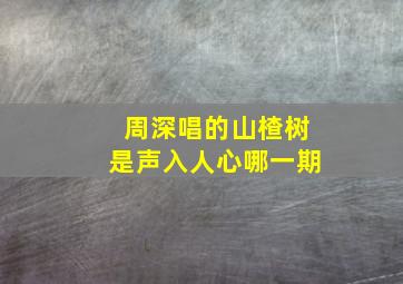 周深唱的山楂树是声入人心哪一期