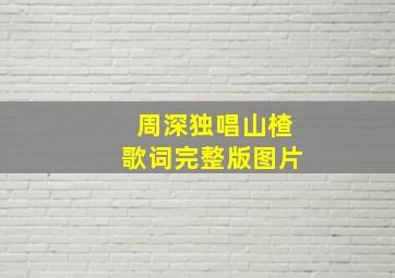 周深独唱山楂歌词完整版图片