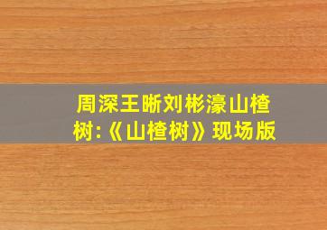 周深王晰刘彬濠山楂树:《山楂树》现场版