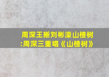 周深王晰刘彬濠山楂树:周深三重唱《山楂树》