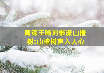 周深王晰刘彬濠山楂树:山楂树声入人心