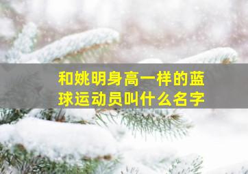 和姚明身高一样的蓝球运动员叫什么名字