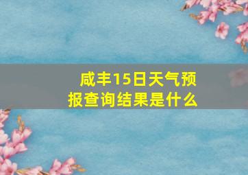 咸丰15日天气预报查询结果是什么