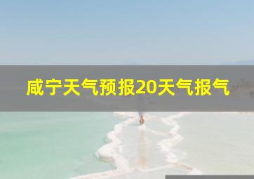 咸宁天气预报20天气报气