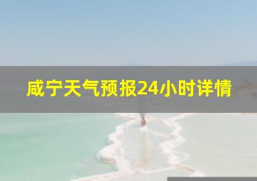 咸宁天气预报24小时详情