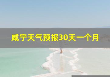 咸宁天气预报30天一个月