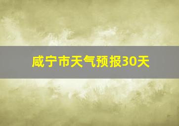 咸宁市天气预报30天