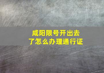 咸阳限号开出去了怎么办理通行证