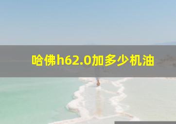 哈佛h62.0加多少机油