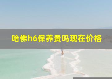 哈佛h6保养贵吗现在价格