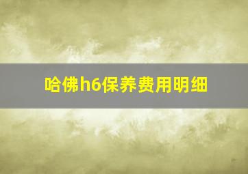 哈佛h6保养费用明细