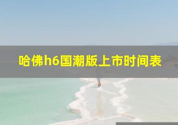 哈佛h6国潮版上市时间表