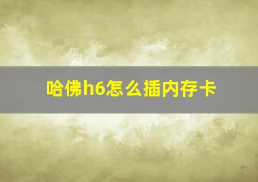 哈佛h6怎么插内存卡