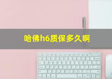 哈佛h6质保多久啊