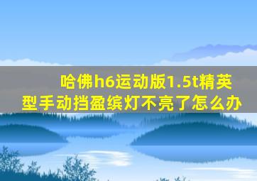 哈佛h6运动版1.5t精英型手动挡盈缤灯不亮了怎么办