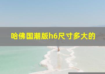 哈佛国潮版h6尺寸多大的