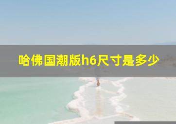 哈佛国潮版h6尺寸是多少