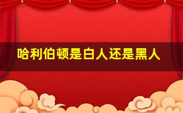 哈利伯顿是白人还是黑人