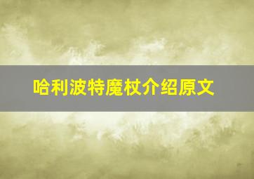 哈利波特魔杖介绍原文