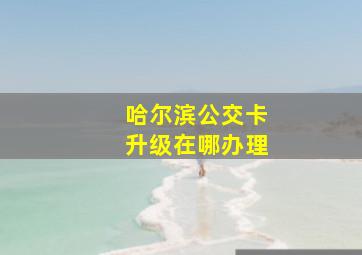 哈尔滨公交卡升级在哪办理