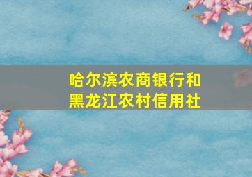 哈尔滨农商银行和黑龙江农村信用社