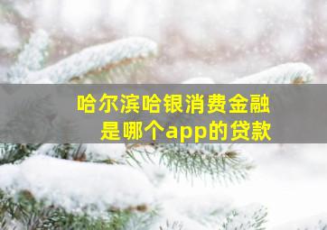 哈尔滨哈银消费金融是哪个app的贷款